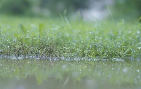 为什么一到2月份南方就会阴雨不断呢 为什么一到2月份南方就会阴雨不断呢