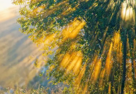 现在凌晨四点天亮了吗(什么时候开始天亮的早) 现在凌晨四点天亮了吗(什么时候开始天亮的早)