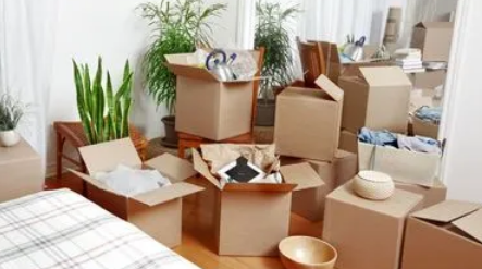 2023年农历二月十五惊蛰宜入住新房吗（惊蛰搬家是凶日吗）