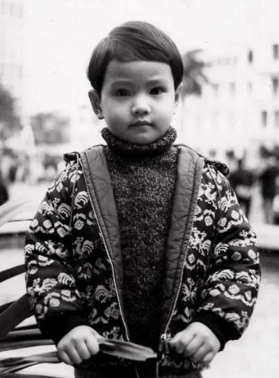 周海媚吕良伟为何分手（盘点周海媚的8段揪心恋情）