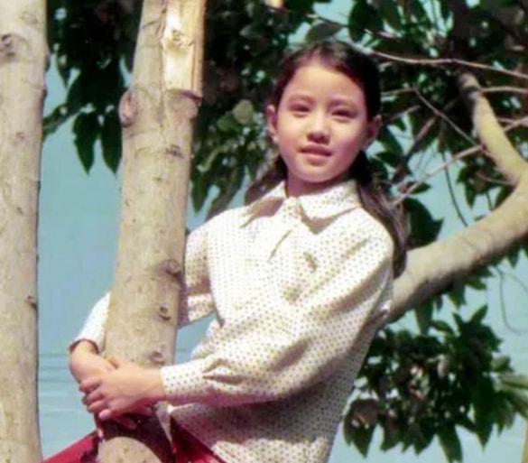 周海媚吕良伟为何分手（盘点周海媚的8段揪心恋情）