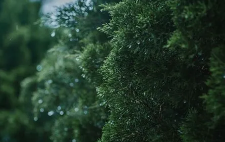 广东2023年什么时候进入雨季 广东2023年什么时候进入雨季