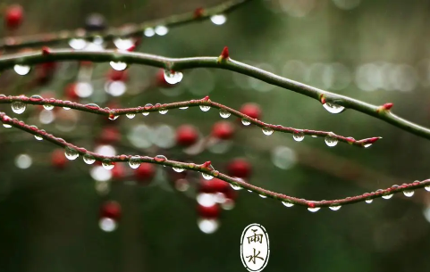 2023雨水节气可以同房吗 1