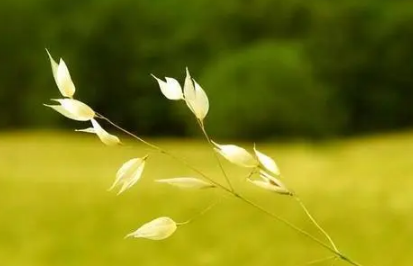 2023年农历二月为什么有三十号（​2023年农历二月到底有多少天）