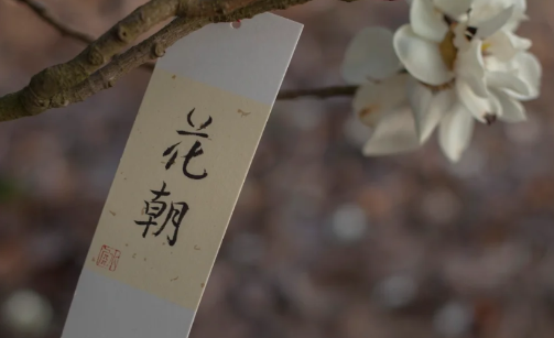 2023花朝节是哪一天星期几（花朝节是百花诞辰还是花神下凡）