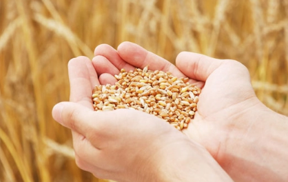 2023粮食补贴是一次性到账吗(今年粮食补贴啥时候下来) 2023粮食补贴是一次性到账吗(今年粮食补贴啥时候下来)