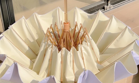 突然收到一个顺丰快递写雨伞怎么回事（没买雨伞却收到顺丰寄雨伞什么套路）