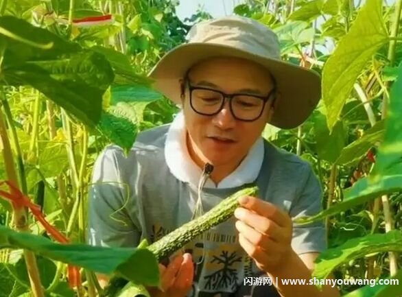 高虎为什么退出娱乐圈 原因与吸毒被抓有关