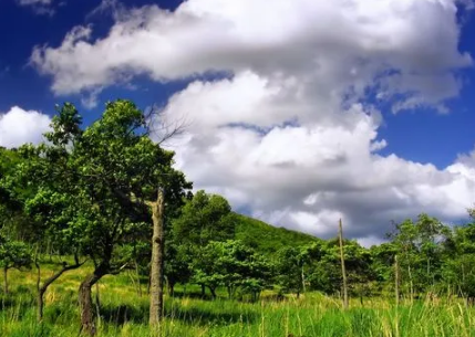 2023上海夏天几月份开始热（上海夏天真正热的时候什么时候）