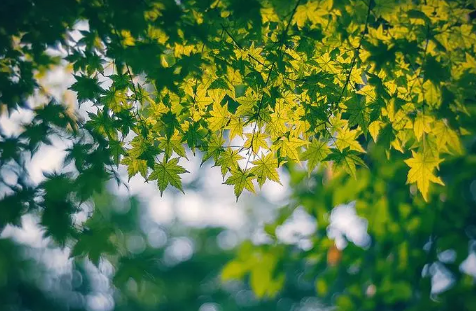 2023上海夏天要热到几月份（上海几月份就不热了）