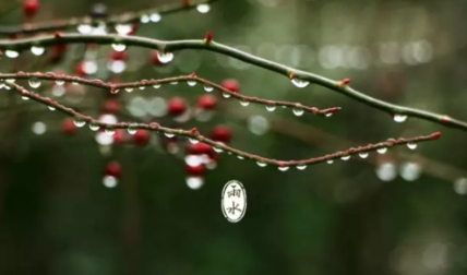 2023年雨水节气前一天下葬好吗(下葬前下雨是什么兆头) 2023年雨水节气前一天下葬好吗(下葬前下雨是什么兆头)