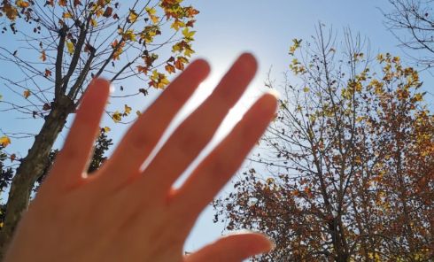 霉菌性阴炎太阳晒能杀死吗(霉菌性阴炎拖延的后果) 霉菌性阴炎太阳晒能杀死吗(霉菌性阴炎拖延的后果)