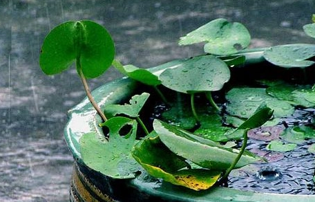 2023厦门梅雨季节是几月份