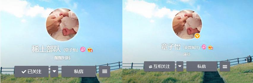 稀土部队什么意思（章子怡微博稀土部队的名字由来）