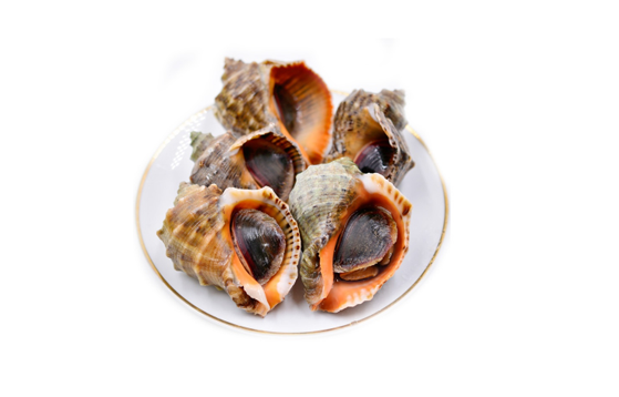 蒸海螺出现白色液体还能吃吗