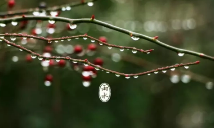 2023年雨水节气具体时间几点几分（2023年雨水节气是哪一天）