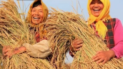 2023粮食补贴是一次性到账吗(今年粮食补贴啥时候下来) 2023粮食补贴是一次性到账吗(今年粮食补贴啥时候下来)