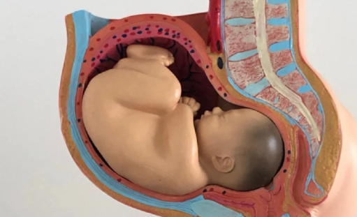 整个孕期只长了10斤正常吗