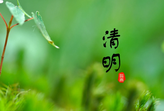 2023年清明节是4号还是5号(今年清明节为什么是4月5日) 2023年清明节是4号还是5号(今年清明节为什么是4月5日)