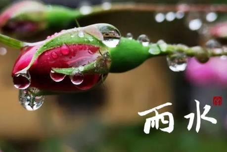 2023年2月19日雨水是几九(雨水时间几点几分几秒钟) 2023年2月19日雨水是几九(雨水时间几点几分几秒钟)