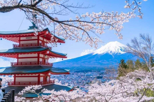 2023年去日本要核酸检测吗(2023年去日本需要隔离吗) 2023年去日本要核酸检测吗(2023年去日本需要隔离吗)