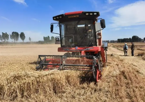 粮食补贴发放到社保卡还是一卡通（粮补卡和社保卡是同一账户吗）