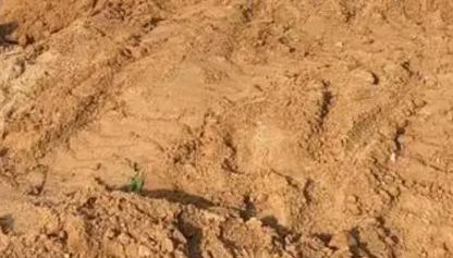 2023清明节填土谁都可以吗（清明给老祖宗上坟添土有讲究）