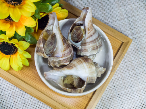 蒸海螺出现粘液怎么回事