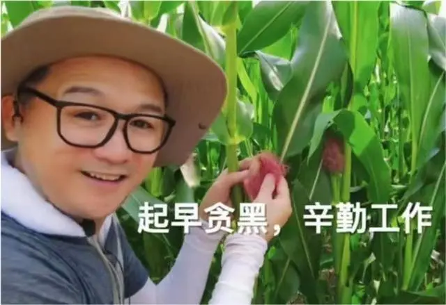 高虎犯了什么事（高虎吸毒事件被封杀）