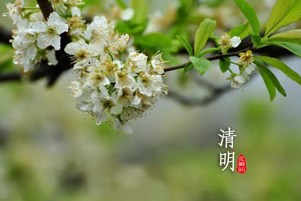 2023清明节高速免费几天（2023年清明节高速公路免费时间段）