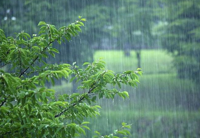 2023年浙江几月份是梅雨季节