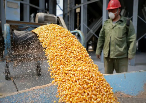 粮食补贴发放到社保卡还是一卡通（粮补卡和社保卡是同一账户吗）