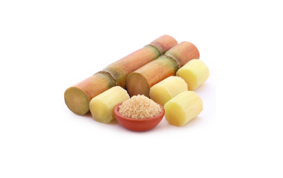 一根甘蔗有多少糖分含量