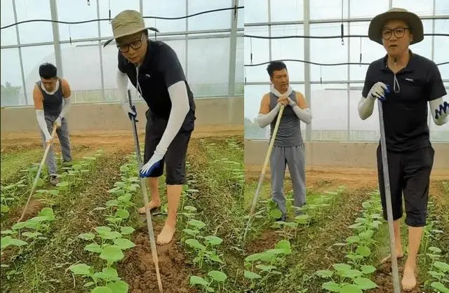 高虎犯什么事 吸毒事件被封杀的高虎现状如何