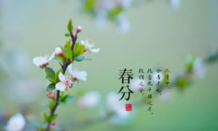2023年的春分是几月几日星期几（春分到了意味着什么）