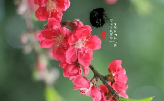 2023年清明节要过路费吗（2023年清明节过路费免费吗）