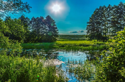 为什么夏天越来越热2023(夏天温度最高能达到多少度) 为什么夏天越来越热2023(夏天温度最高能达到多少度)