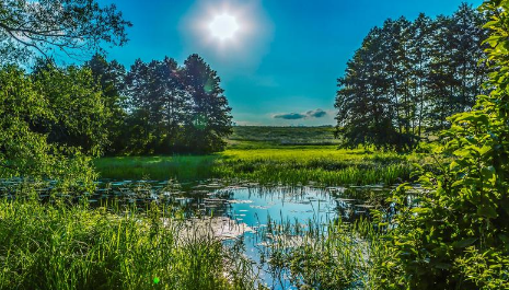 2023上海夏天几月份开始热（上海夏天真正热的时候什么时候）