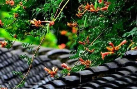 南方的梅雨季节是几月份到几月份