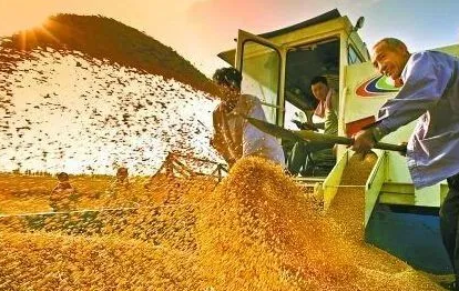 粮食补贴是不是谁种地就给谁（粮食补贴是给承包人还是耕种人）