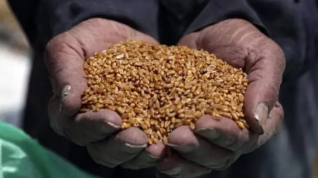 粮补一个人一年多少钱2023（粮食补贴是每个人都有吗）