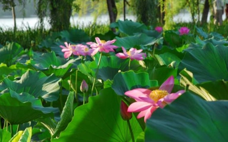 2023广州夏天几月份开始热（广州的夏天持续到几月份）