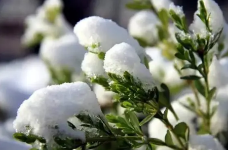 2023年3月中下旬有倒春寒吗