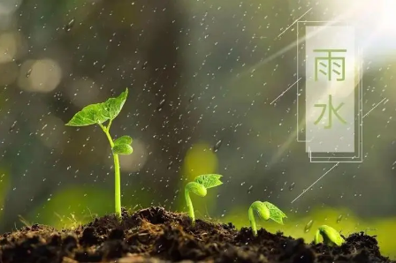 2023年雨水节气具体时间几点几分（2023年雨水节气是哪一天）