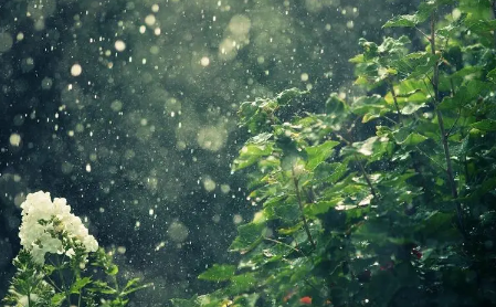 为什么一到2月份南方就会阴雨不断呢 为什么一到2月份南方就会阴雨不断呢