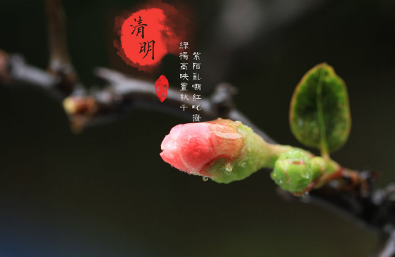 2023清明节高速免费几天（2023年清明节高速公路免费时间段）