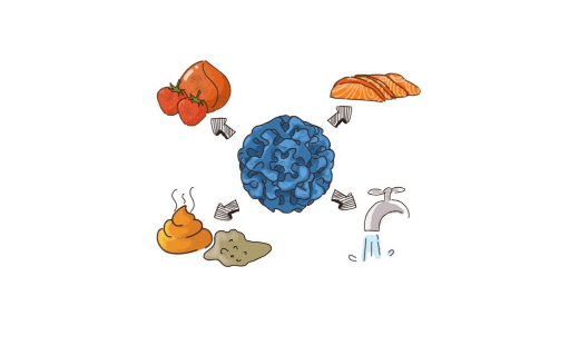 诺如病毒衣服会携带病毒吗2