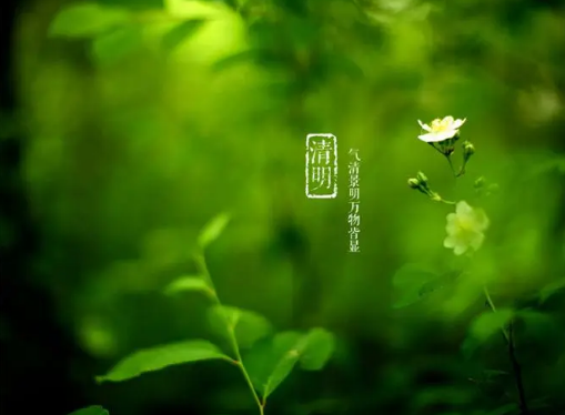 2023年清明节是三薪还是五薪