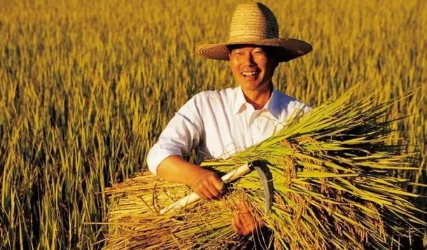 2023粮食补贴是国家直接发放吗（2023粮食补贴是国家直接发放吗）