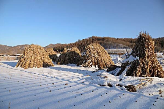 2023年五九六九还冷吗